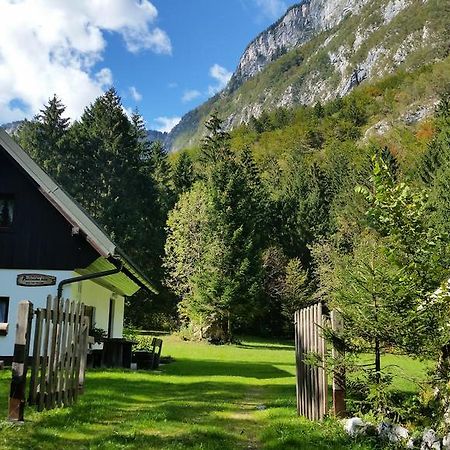 Pocitniska Hisa Ukanc Bohinj Exterior photo